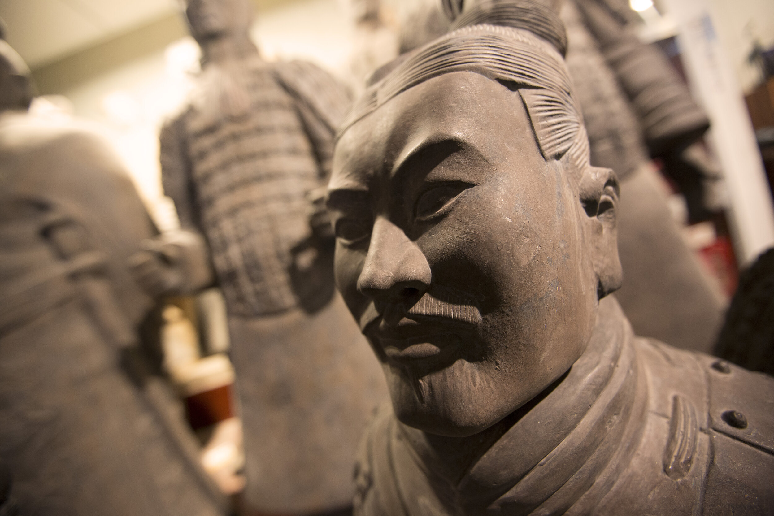 Terracotta Warriors in Xian Museum