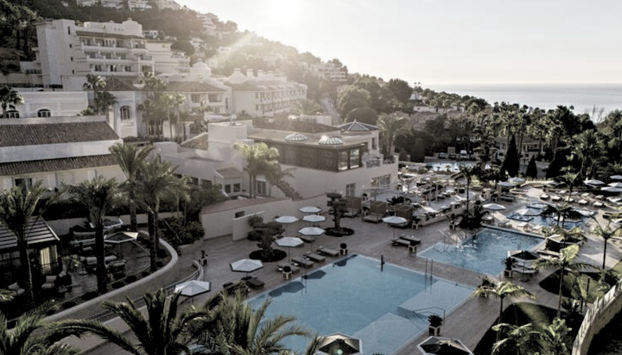 What Hippocrates Begins, ZEM Finishes – Premier Wellness Travel